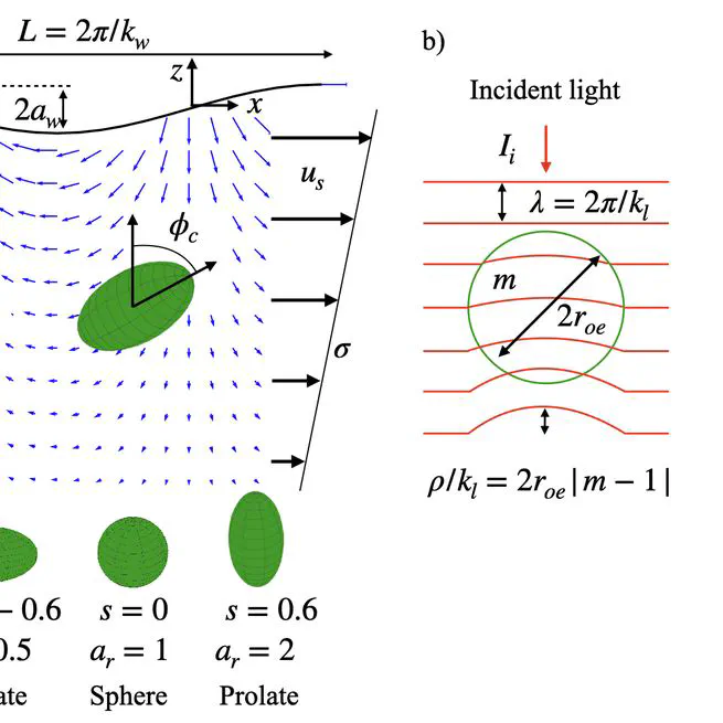 Light attenuation due to preferential orientation of particles in waves and shear flow: idealized modeling for bacteria, algae, and microplastics
